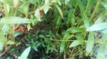 20160910_095945.jpg