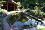 DSC00046.jpg DSC00046.jpg