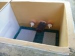 IMG-20160910-WA0002.jpg