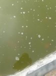 Teich 5.jpg Teich 5.jpg