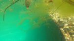 20160911_111126.jpg 20160911_111126.jpg