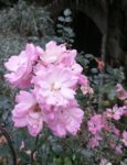20160917_144653.jpg