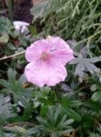 20160917_144739.jpg