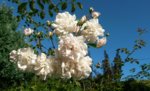 20160918_104259.jpg
