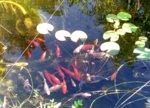 20160918_104438.jpg
