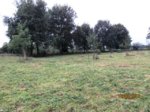 Streuobst wiese IMG_7393.JPG