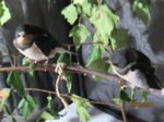Winnie und Willi IMG_7416.JPG