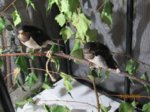 Winnie und Willi IMG_7417.JPG