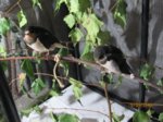Winnie und Willi IMG_7418.JPG
