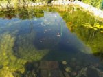 IMG_20160915_105948.jpg