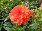 DSCN3719.JPG