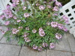 DSCN3694.JPG