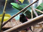 Willi IMG_7453.JPG