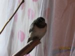 Winnie IMG_7460.JPG