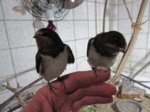 Winnie und Willi IMG_7440.JPG