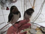 Winnie und Willi IMG_7442.JPG