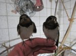 Winnie und Willi IMG_7443.JPG