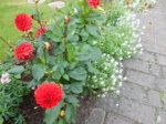 DSCN3828.JPG