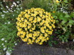 DSCN3829.JPG
