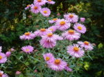 DSCN3814.JPG