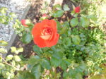 DSCN3816.JPG