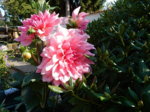 DSCN3818.JPG