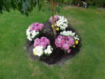 DSCN3823.JPG