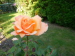 DSCN3826.JPG