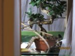 Winnie und Willi IMG_7475.JPG