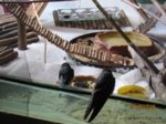 Winnie und Willi IMG_7480.JPG