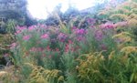 20160929_175840.jpg
