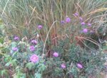 20160929_175730.jpg