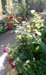 20160925_133809.jpg