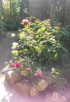 20160925_133753.jpg