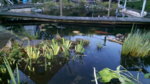 20161002_185048.jpg