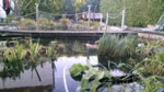 20161002_184921.jpg