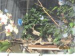 Willi IMG_7530.JPG