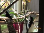 Winnie und Willi IMG_7538.JPG