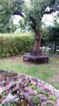 20161009_115719.jpg