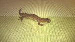 WP_20161017_001.jpg WP_20161017_001.jpg