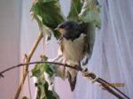 Willi IMG_7906.JPG