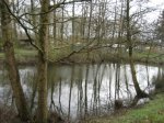 Photo 003.jpg