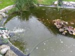 20160731_111517.jpg 20160731_111517.jpg