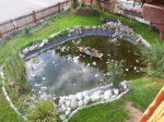 20160801_072950.jpg 20160801_072950.jpg