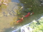 20160930_171031.jpg 20160930_171031.jpg