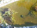 20160930_171046.jpg 20160930_171046.jpg
