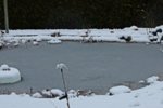 der grosse Teich zugefroren_900.JPG