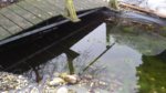 20170206_134639.jpg