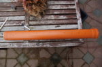 DSC09995.JPG