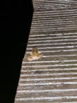 20170309_221118.jpg
